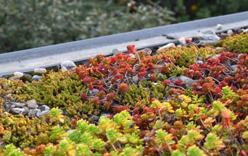 the cost of Middle Bridge green roof installation