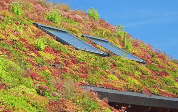 Middle Bridge living roof systems